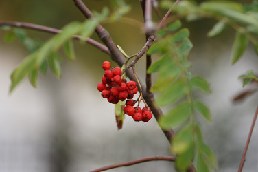 Similar image 21143614