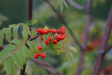 Similar image 21143615