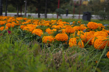 Similar image 21143616