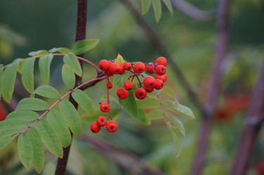 Similar image 21143617