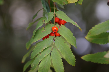 Similar image 21143618