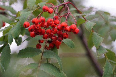 Similar image 21143619