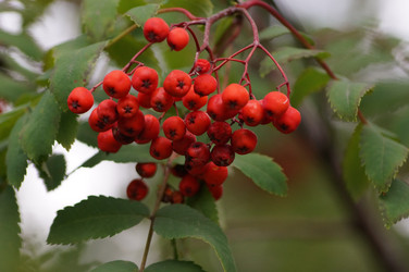 Similar image 21143620