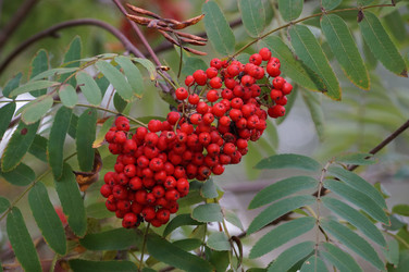 Similar image 21143621