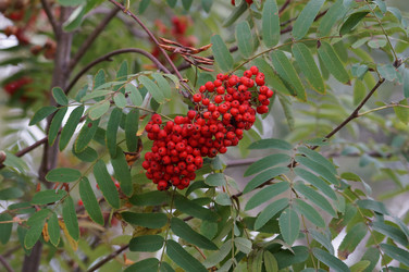 Similar image 21142842