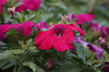 Similar image 21143623