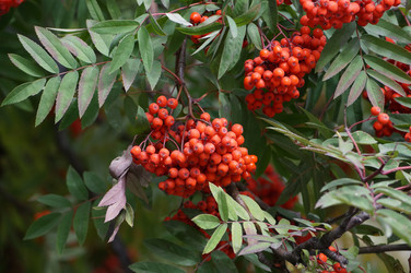 Similar image 21143624