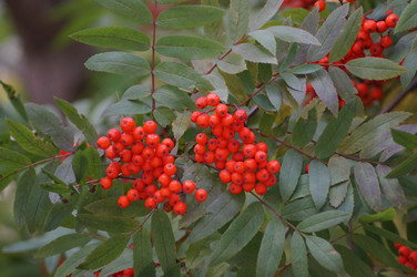 Similar image 21142843