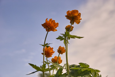 Similar image 21143626