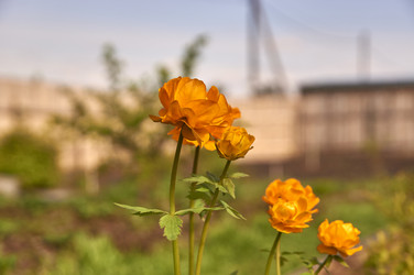 Similar image 21143627