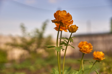 Similar image 21143628