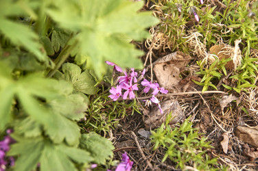 Similar image 21143629