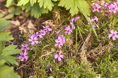 Similar image 21143630