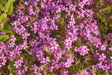 Similar image 21143631