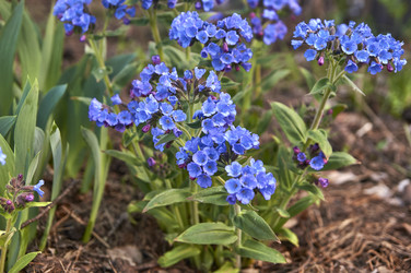 Similar image 21143632