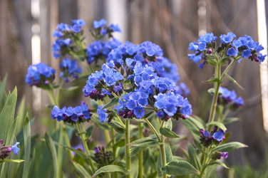 Similar image 21142844