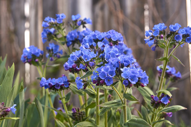 Similar image 21142845