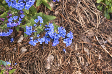 Similar image 21143634