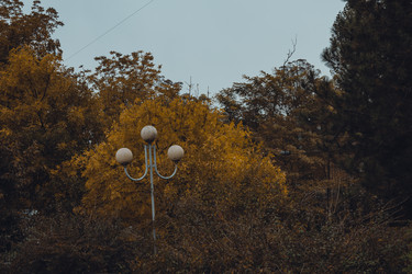 Similar image 21143349