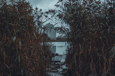 Similar image 21143350