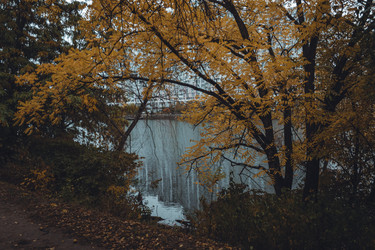 Similar image 21143356