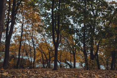 Similar image 21143358