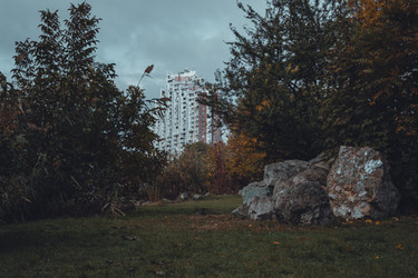 Similar image 21143360