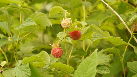 Similar image 21145891