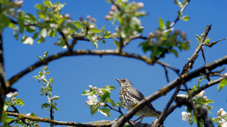 Similar image 21145892