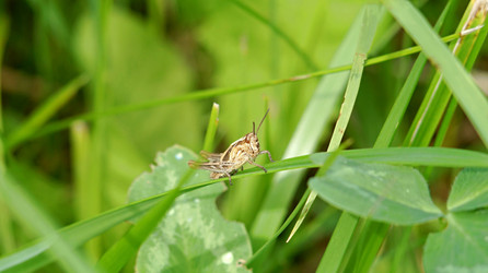 Similar image 21145895