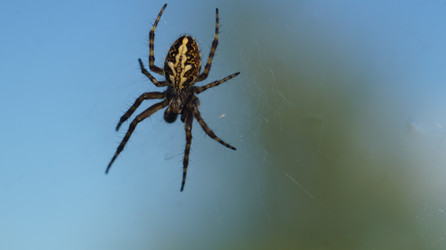 Similar image 21145896