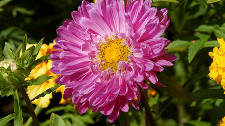 Similar image 21145897