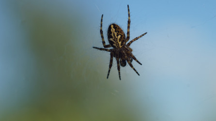 Similar image 21145898