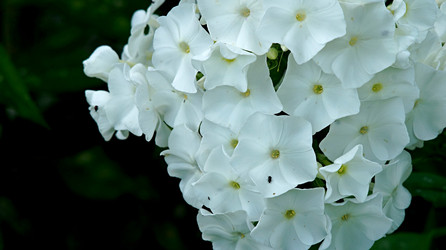 Similar image 21145899