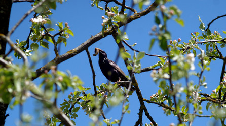 Similar image 21145900