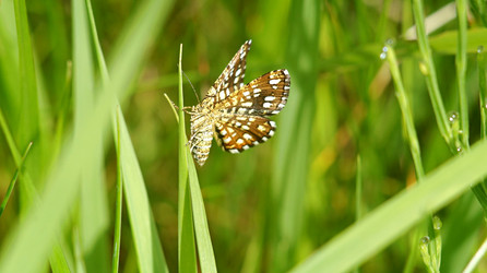 Similar image 21145901