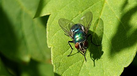 Similar image 21145902