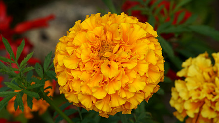 Similar image 21145903