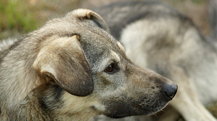 Similar image 21145905