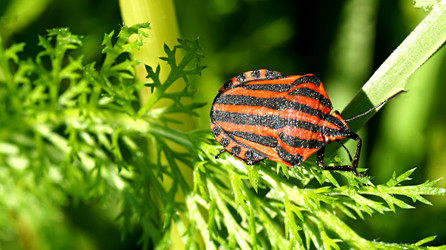 Similar image 21145906