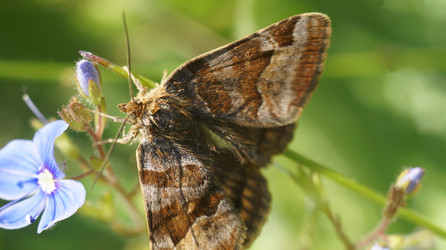 Similar image 21145908