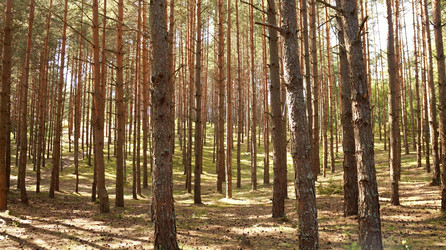 Similar image 21145911