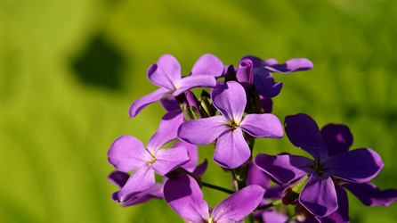 Similar image 21145912