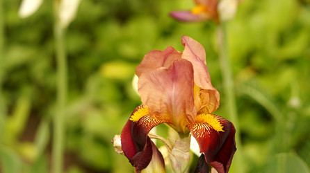 Similar image 21144370