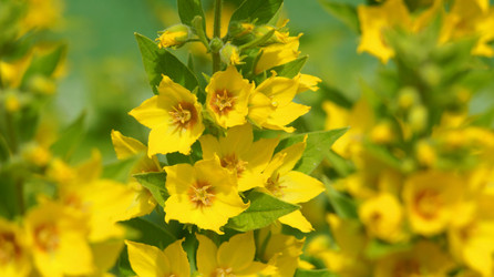 Similar image 21144372