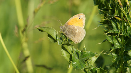 Similar image 21144374