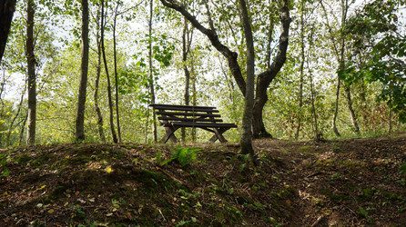 Similar image 21144375