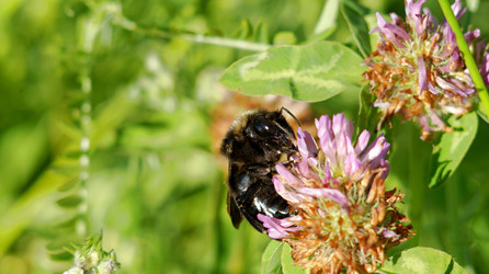 Similar image 21144376