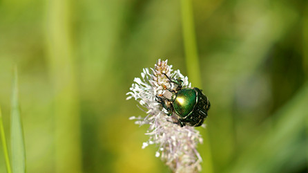 Similar image 21144378