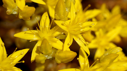 Similar image 21144382